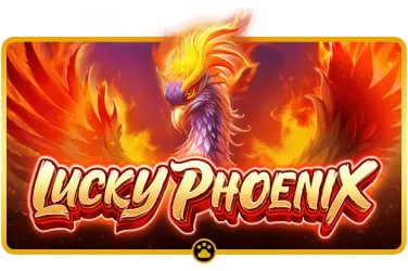 6z6z mobile gaming